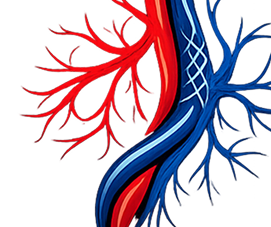 assets/images/favicons/favi-angiologo-cirujano-vascular-endovascular-queretaro.webp